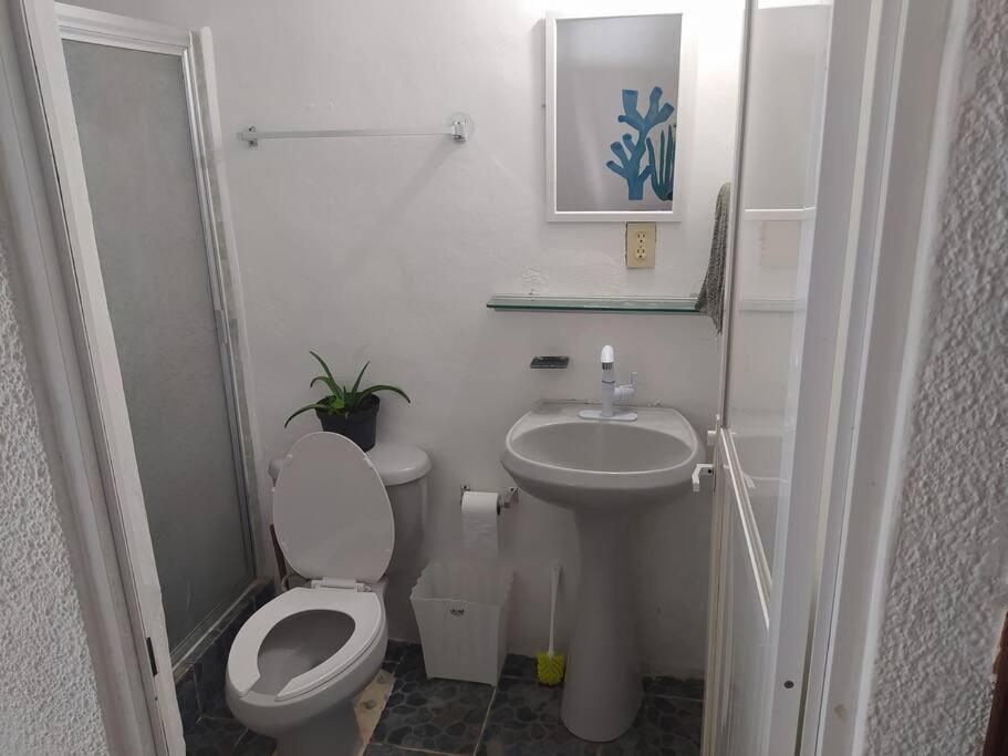 Arrecife Apartman Cancún Kültér fotó